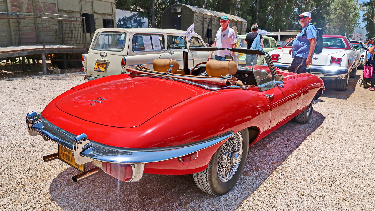 ЯГУАР - Надя Кушнир