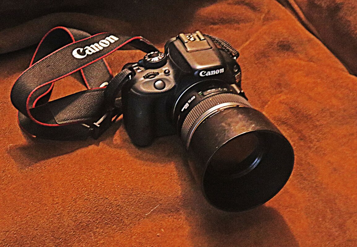 Старая добрая камера! - Владимир 