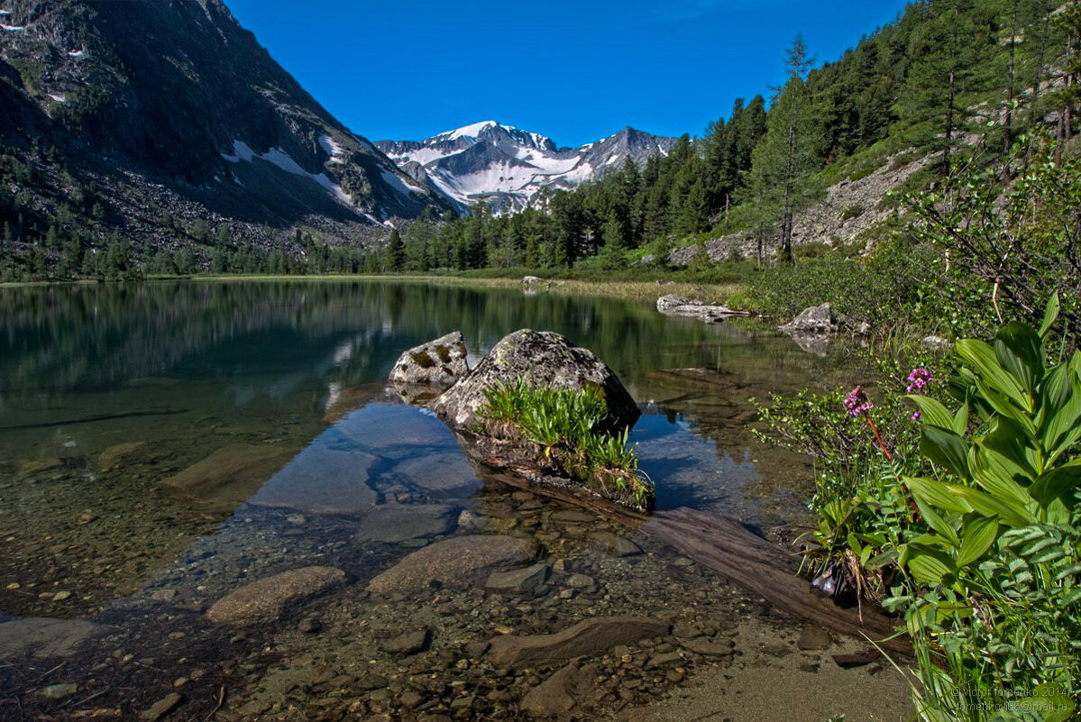 Озерко - Виктор Фоменко