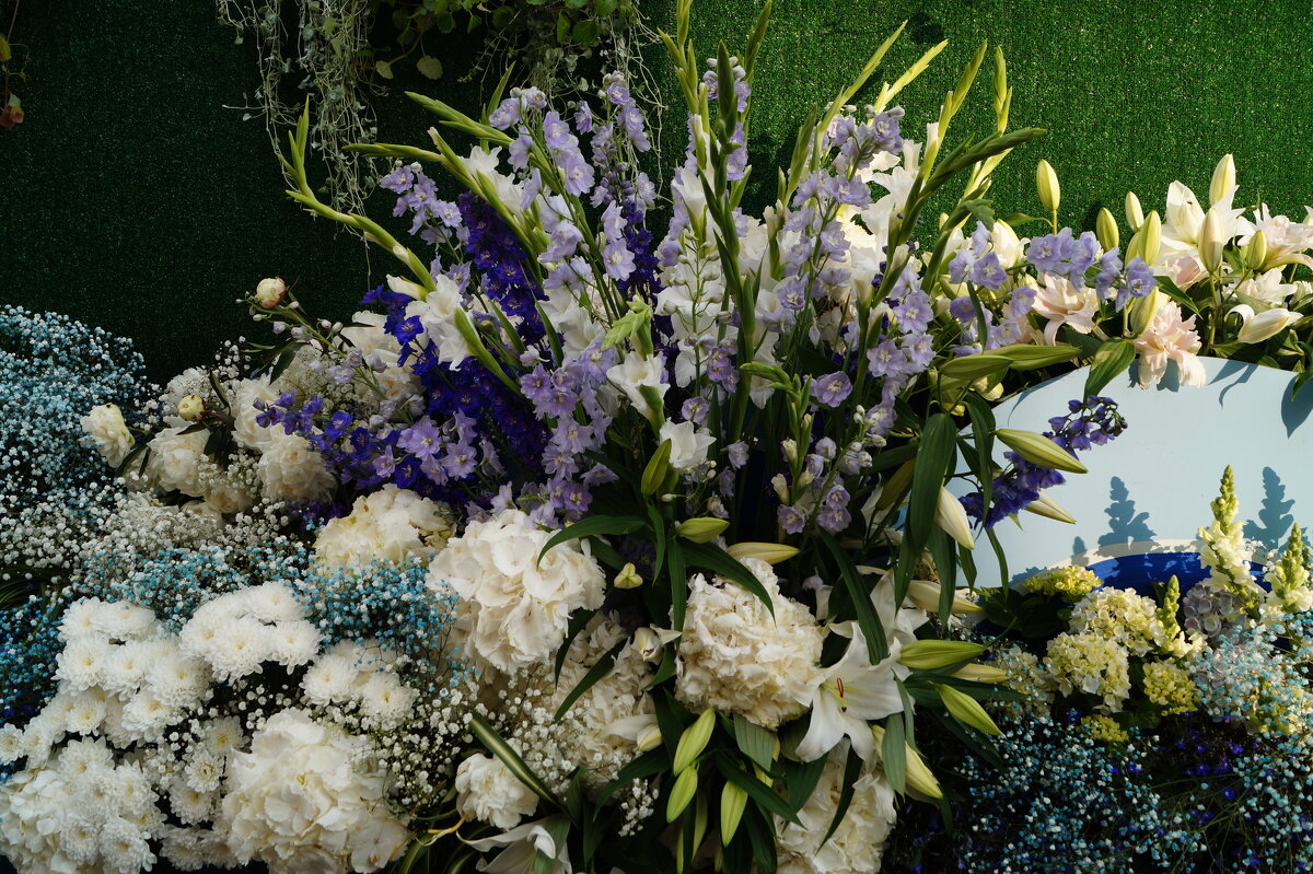 на Фестивале живых цветов! - Anna-Sabina Anna-Sabina на Фестивале живых цветов! - Anna-Sabina Anna-Sabina