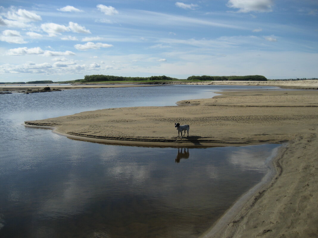 Лето - Anna Ivanova Лето - Anna Ivanova