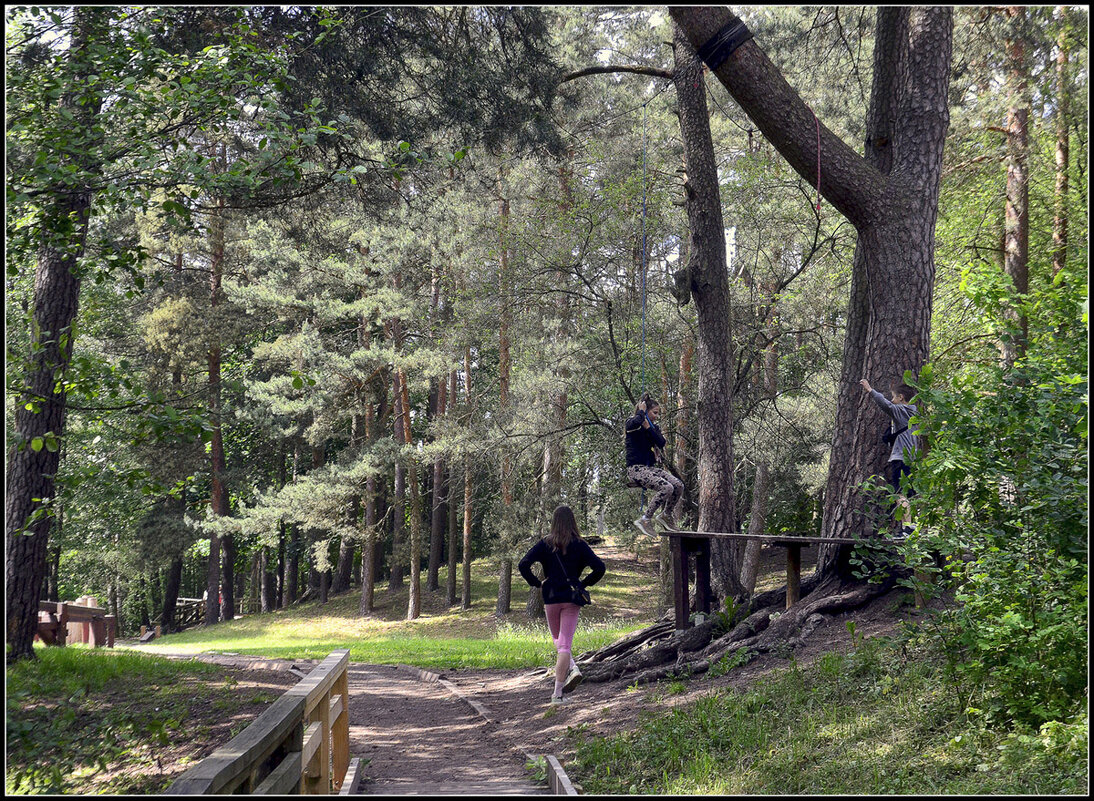 Летние радости.... - Aleksandr Gal