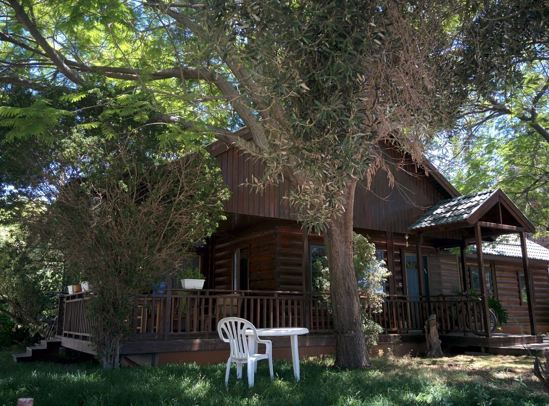 Дом в мошеве. - Светлана Хращевская Дом в мошеве. - Светлана Хращевская