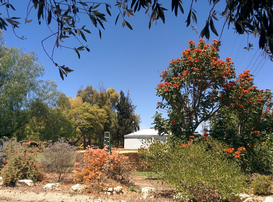 " - Светлана Хращевская " - Светлана Хращевская