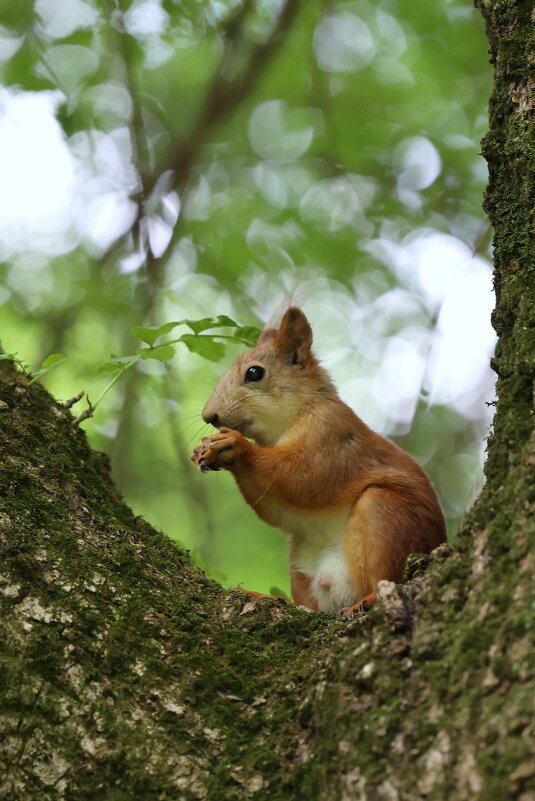 Площадка. - Александр Кондаков Площадка. - Александр Кондаков