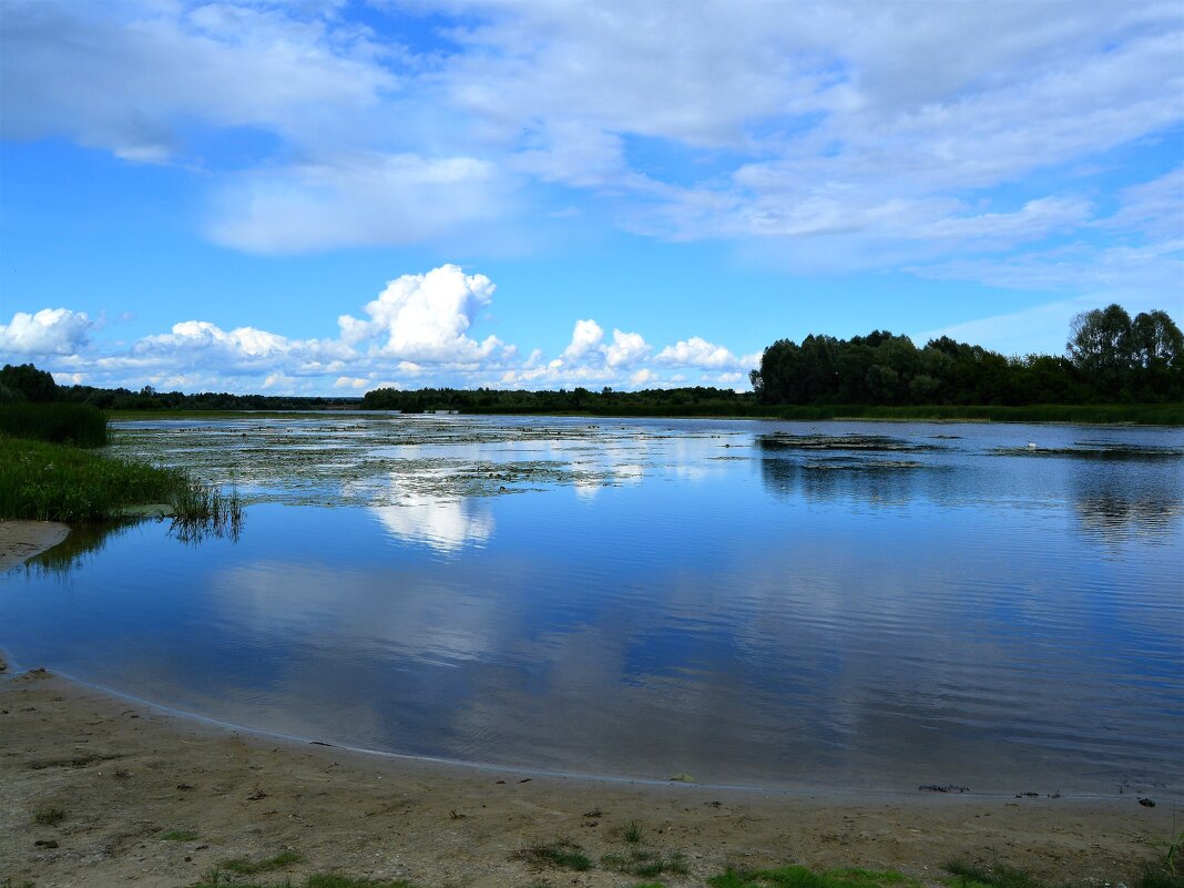 Ядрин. Залив левого берега реки Суры, в восточных окрестностях города. - Пётр Чернега