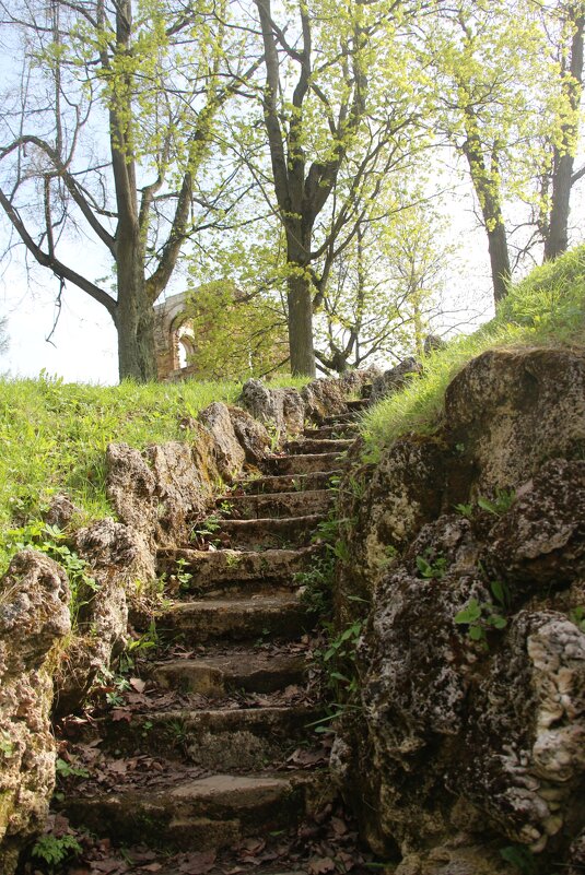 Стрельна. Орловский парк - Наталья Герасимова