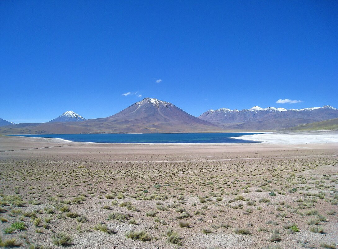 На высокогорном плато Альтиплано, на севере Чили. - unix (Илья Утропов)