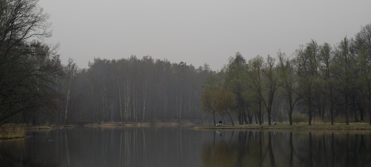 Весна - petrowic petrowic