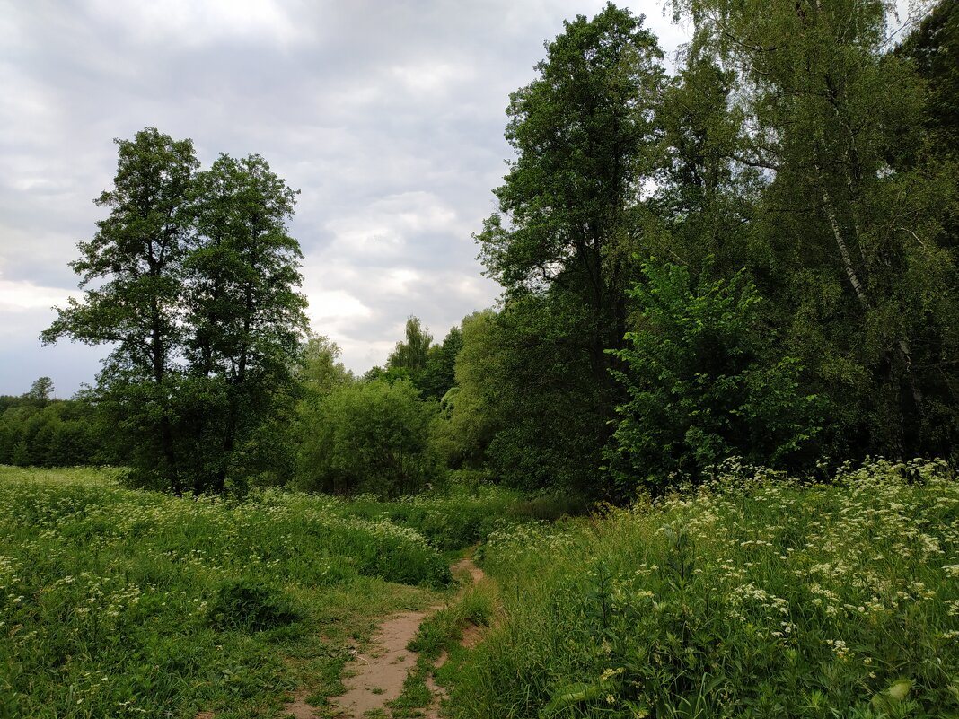 День России. Для меня Россия такая - Андрей Лукьянов