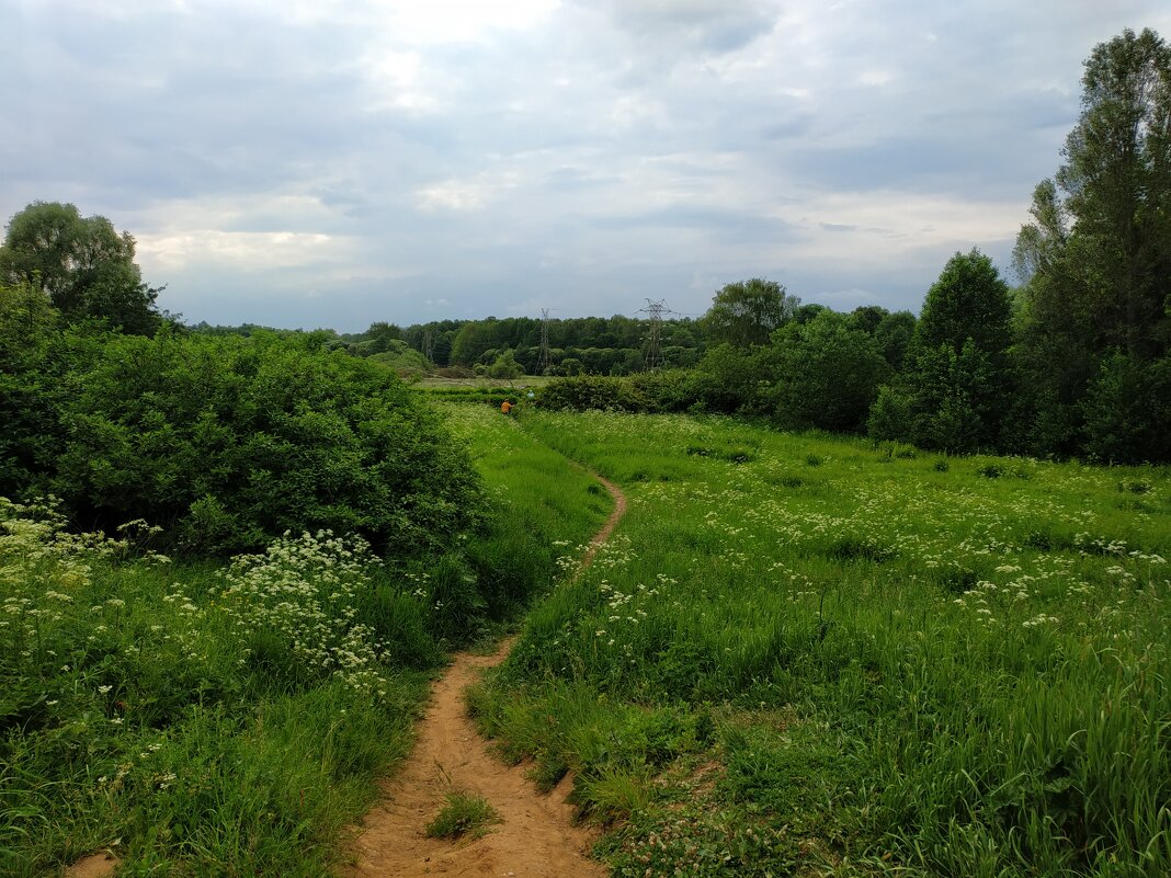 День России. Для меня Россия такая - Андрей Лукьянов