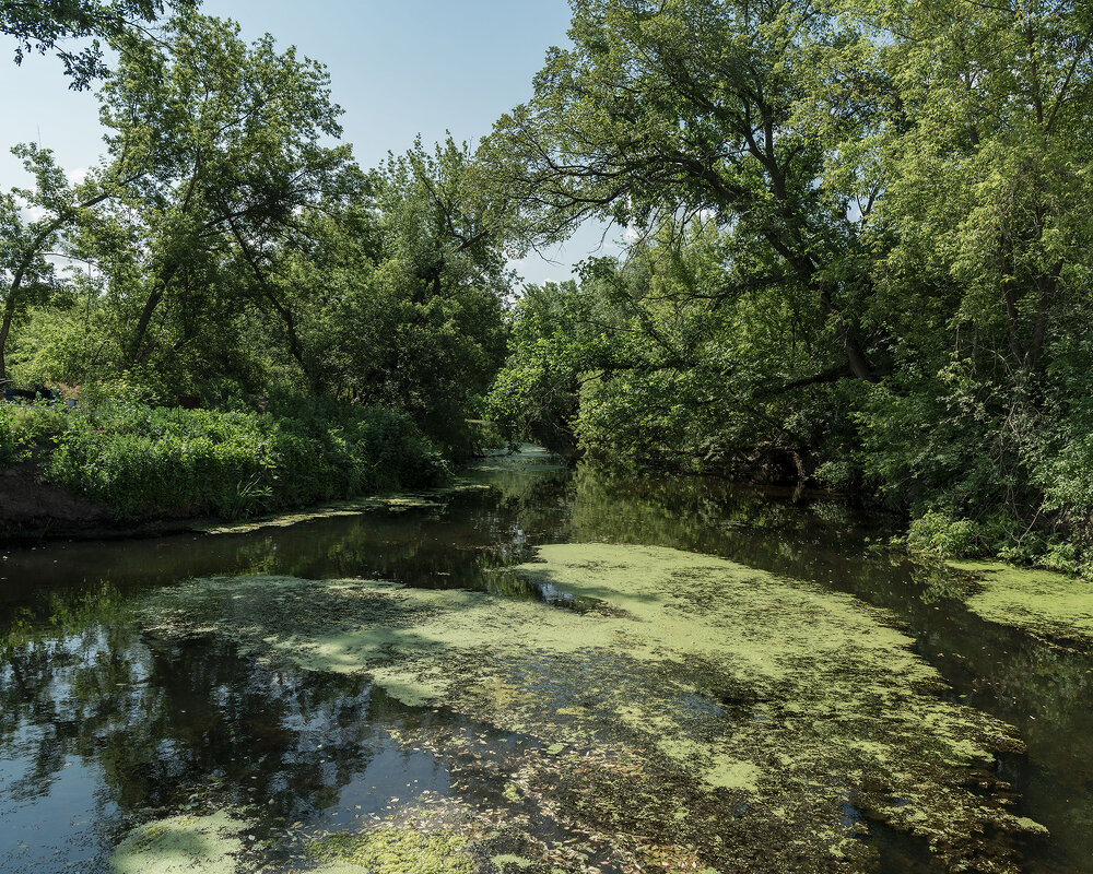 Красота цветущей оды - Леонид Соснин Красота цветущей оды - Леонид Соснин