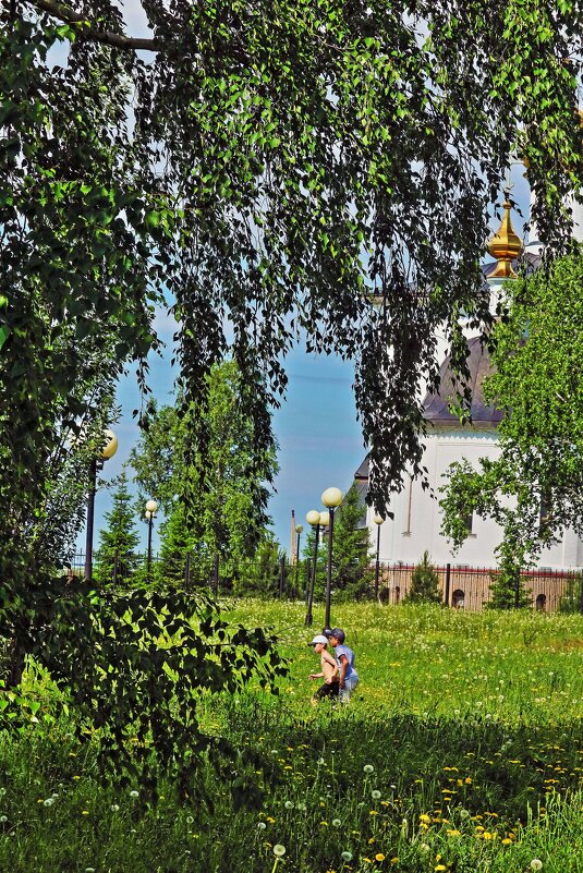 Июнь...Летний отдых  детей в церковном парке! - Владимир 