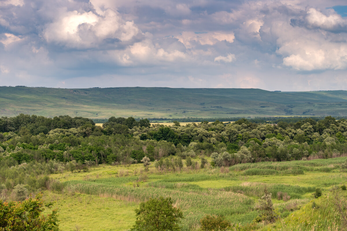 Краснодарский край - Игорь Сикорский