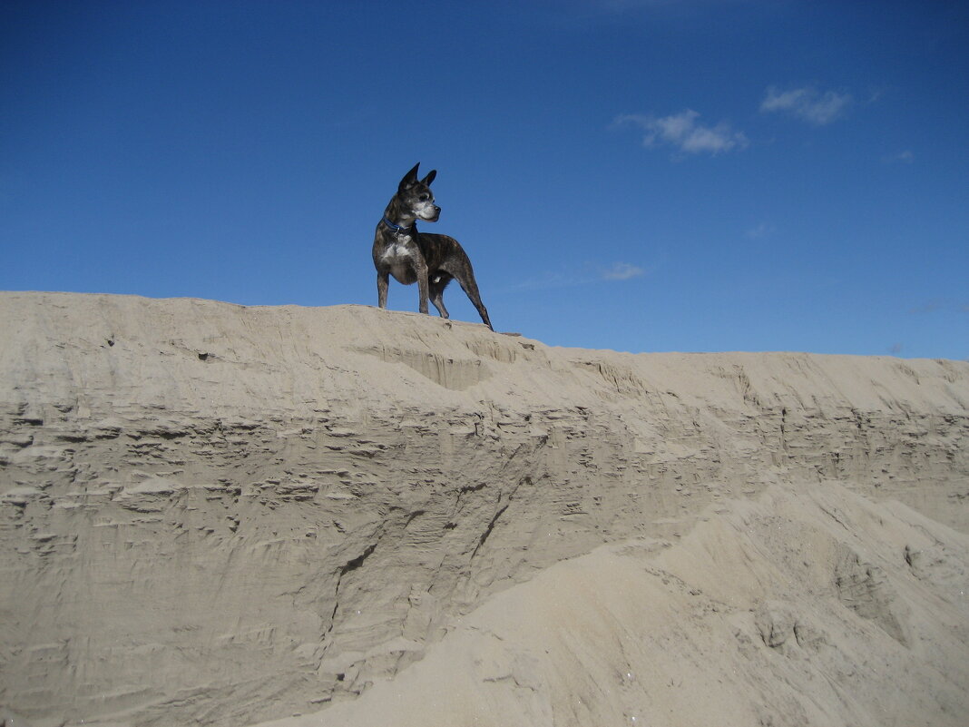 Позёр - Anna Ivanova