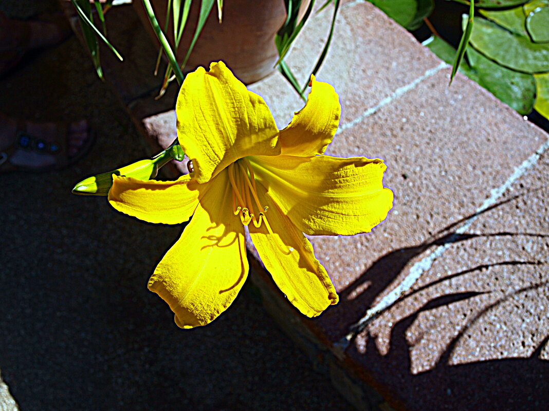 Барселона. - Владимир Драгунский