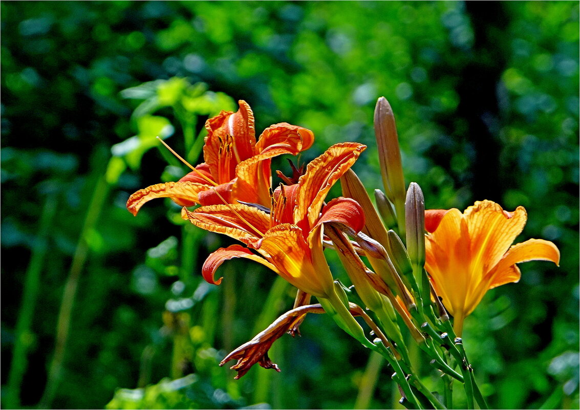 ЛЕТО - Юрий Владимирович 34 ЛЕТО - Юрий Владимирович 34