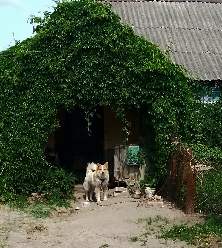 *** - Валентина Береснева