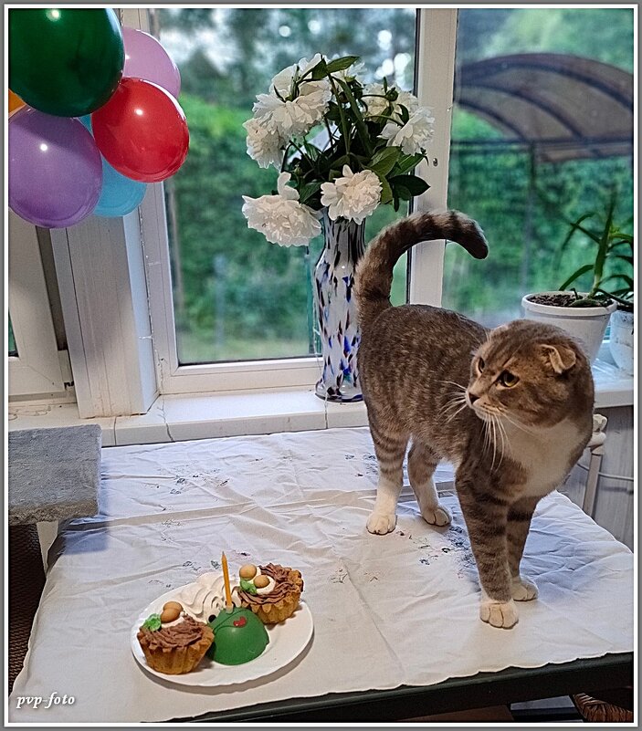 Фунтик. - Владимир Попов