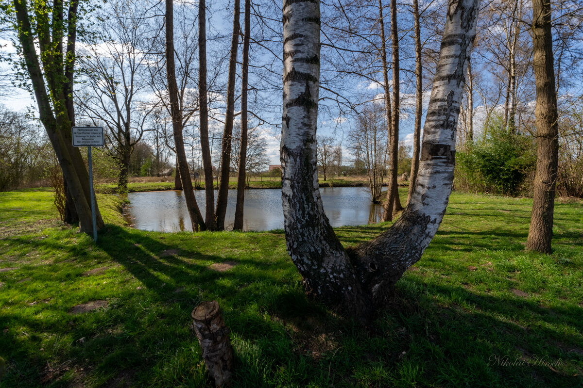 Рогатка... - Николай Гирш