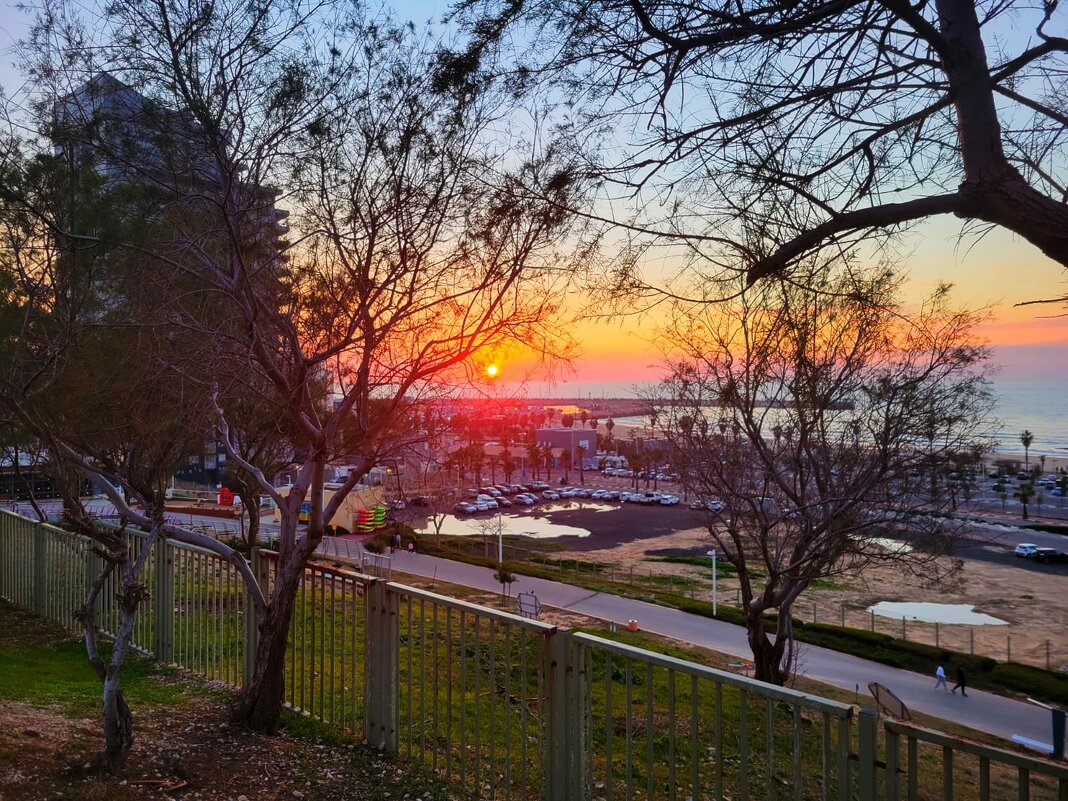 Закат солнца. - Светлана Хращевская