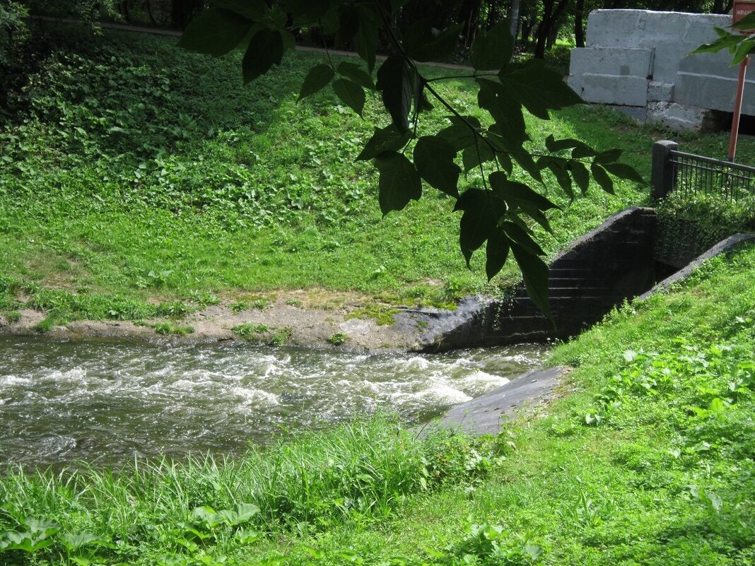 Исток реки Лихоборки - Дмитрий Никитин Исток реки Лихоборки - Дмитрий Никитин