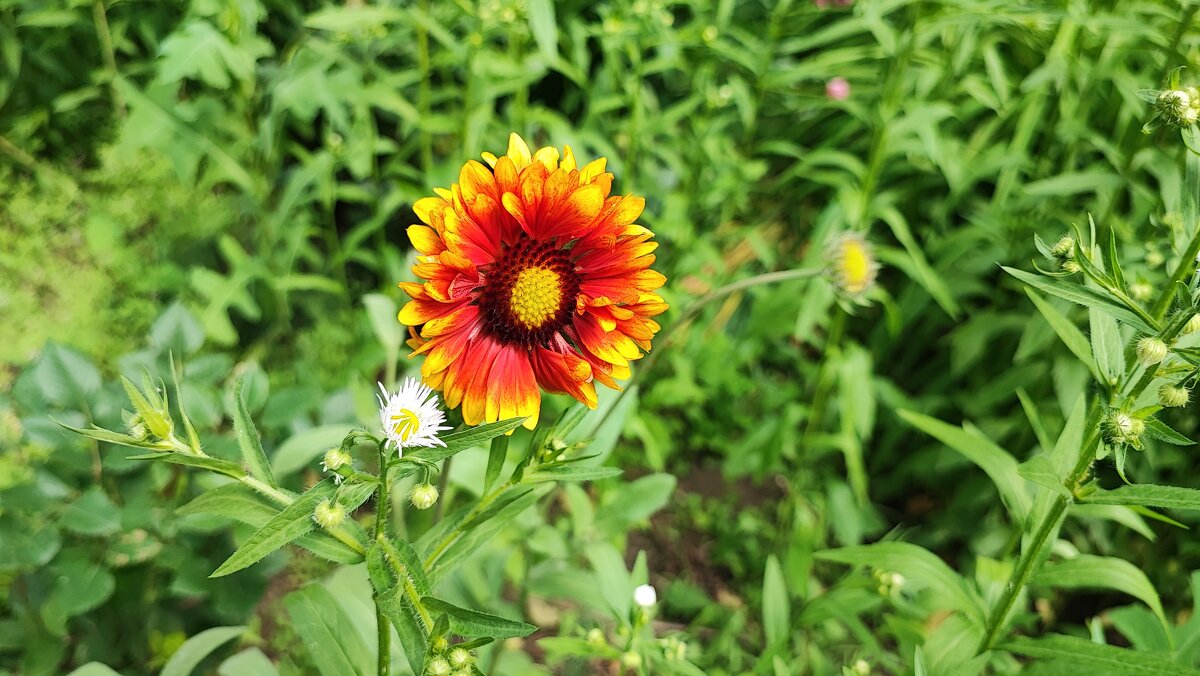 ,,, - Сергей Тимоновский