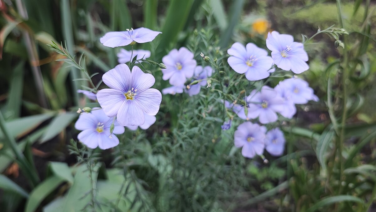 ,,, - Сергей Тимоновский
