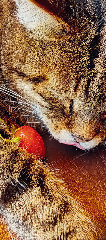 Сны со вкусом клубники... - Леонид Абросимов