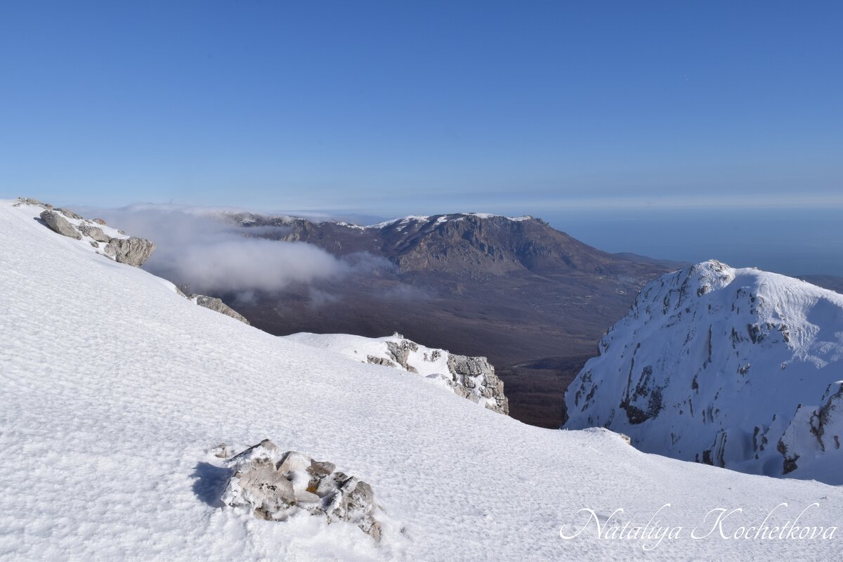 Природа Крыма - Amazing Cosmea