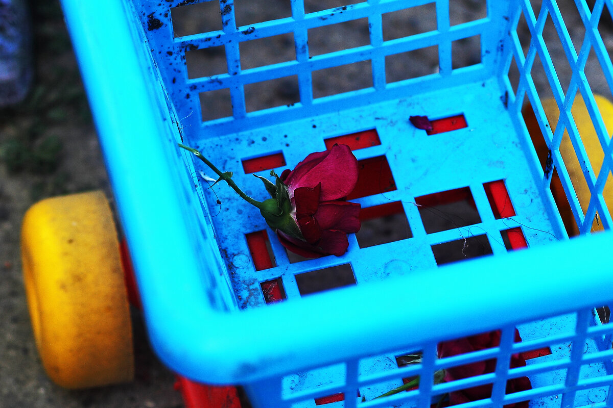 В детской коляске - Юрий Гайворонскiий