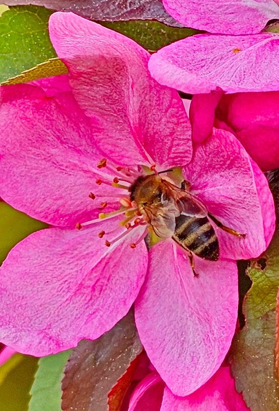 Труженица - Михаил Свиденцов