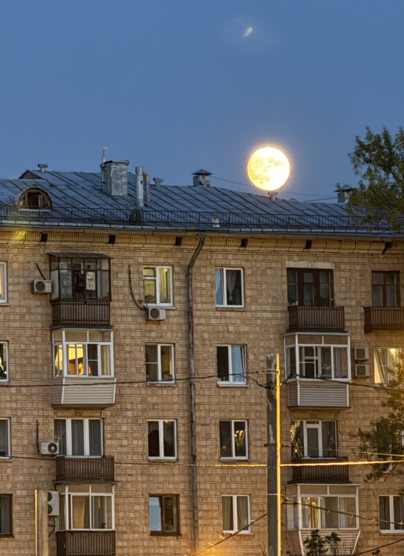 из дымохода вышел не дым)) - Анна Камс