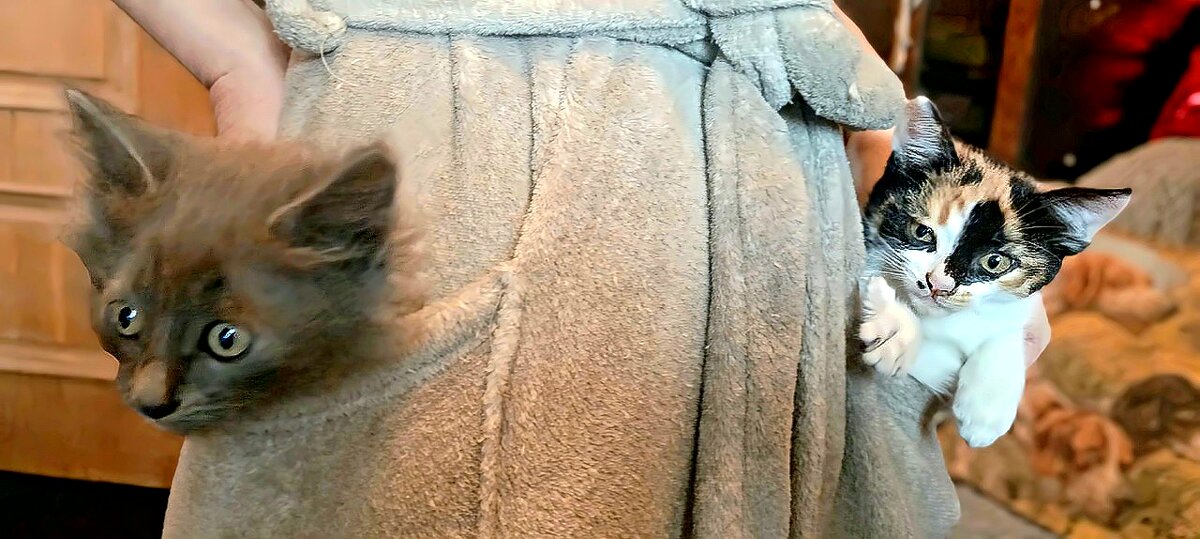 здравствуйте - Михаил Столяров