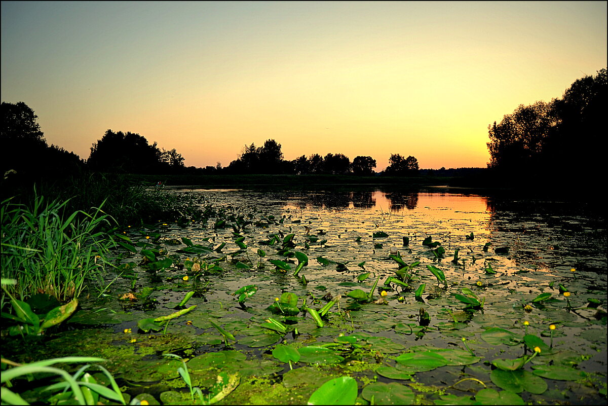 У РЕКИ.... - Татьяна Касьяненко