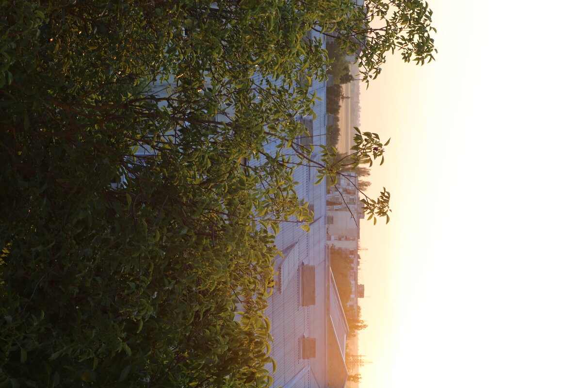 *** - Яна Горбунова