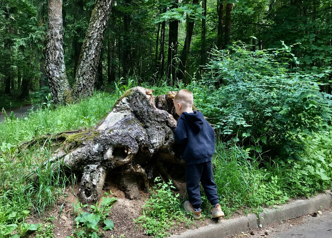 Любознательность… - Любовь 