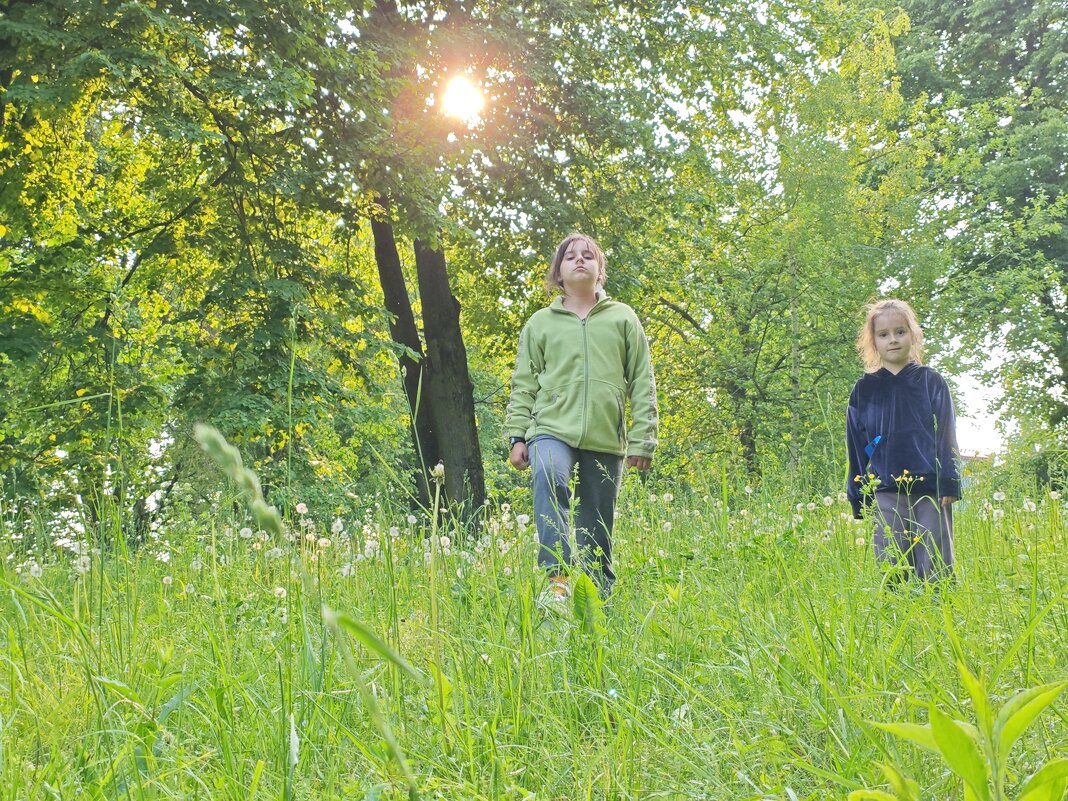 Сëстры - Олег Губаревич