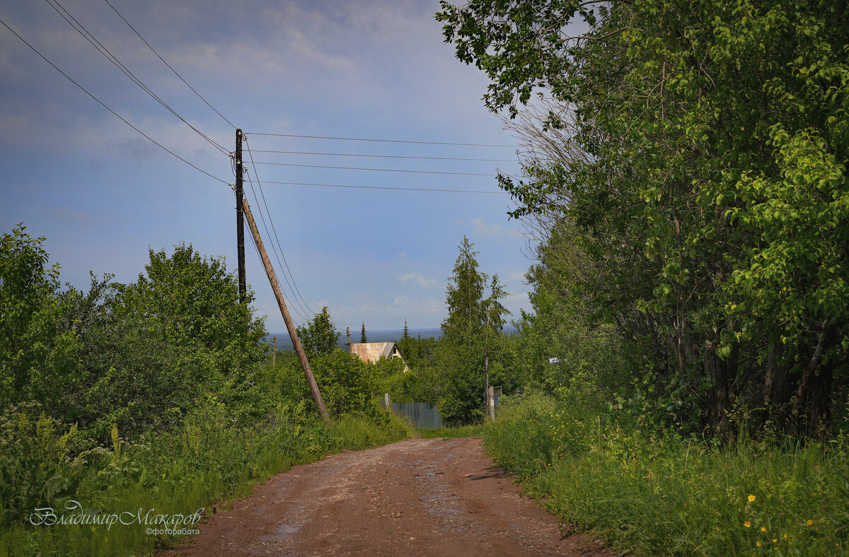 "Дорога к реке. Зеленый июнь"© - Владимир Макаров