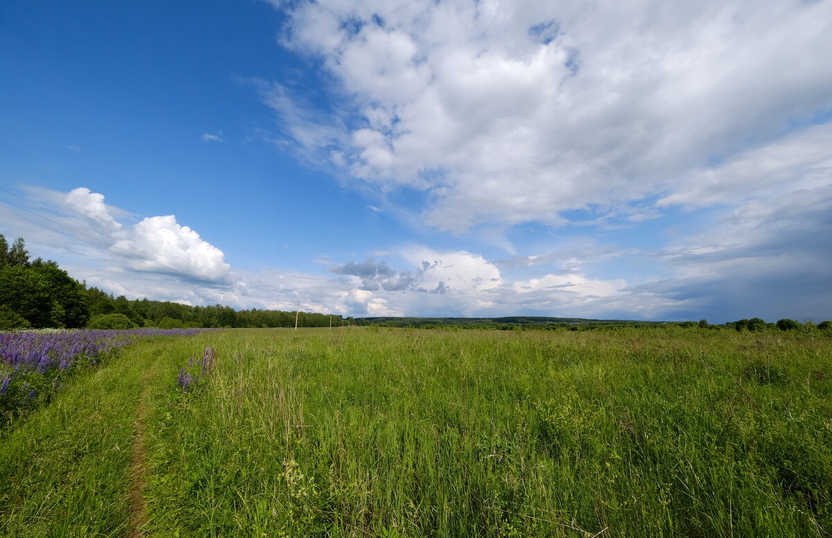 Родные просторы - Андрей Зайцев