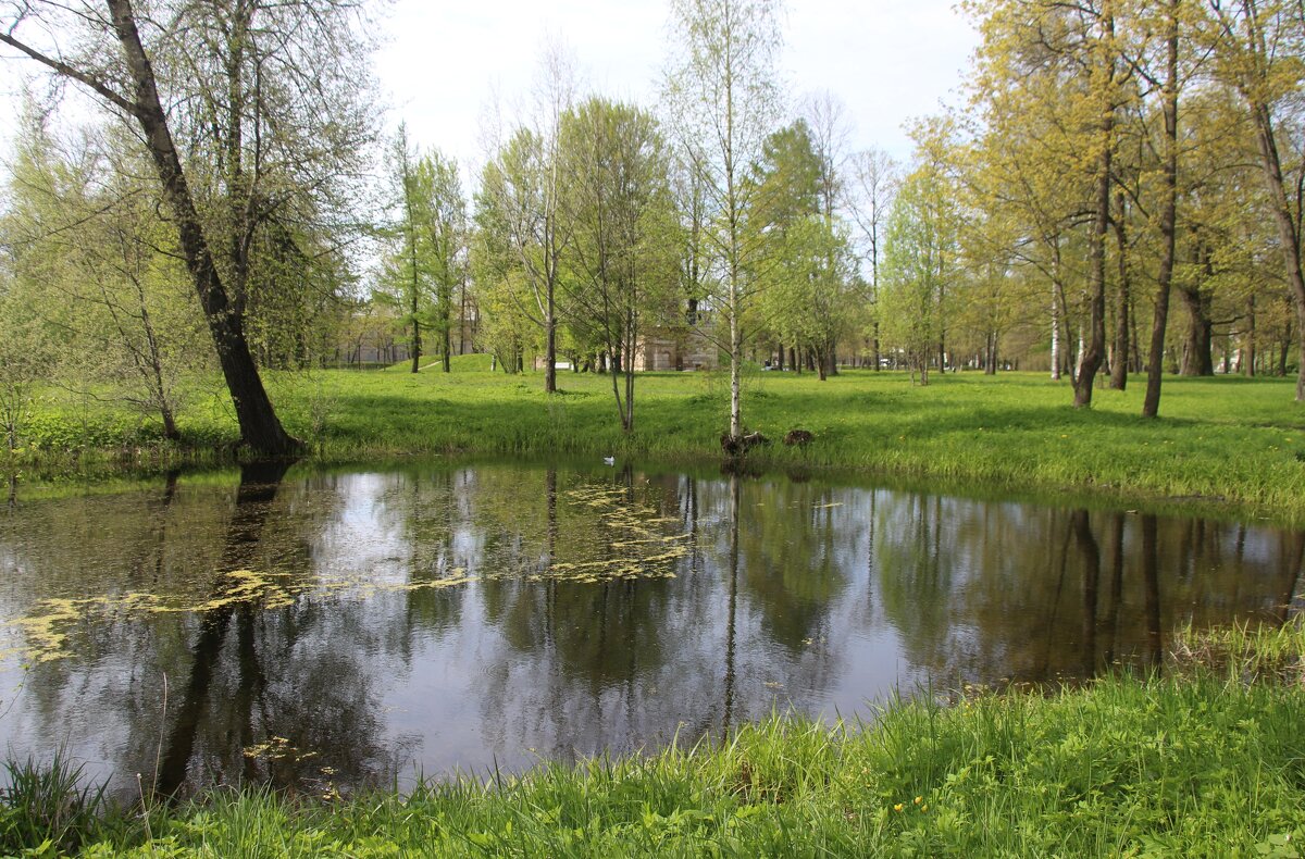 Стрельна. Орловский парк - Наталья Герасимова