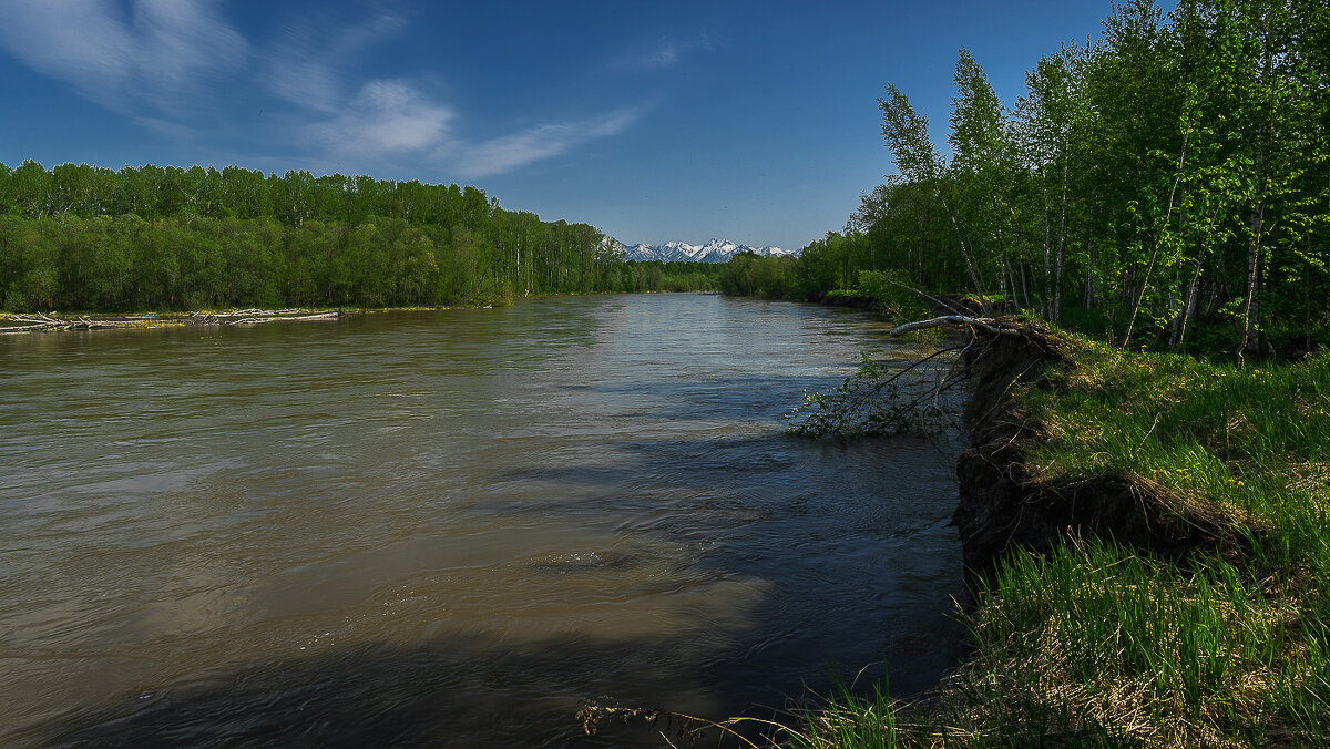 ... - Жора Житников