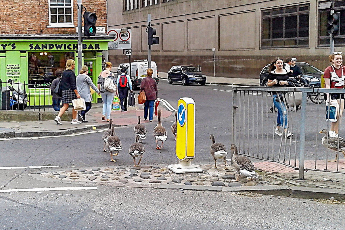 В Англии правила - они для всех правила. - Игорь Викторов В Англии правила - они для всех правила. - Игорь Викторов