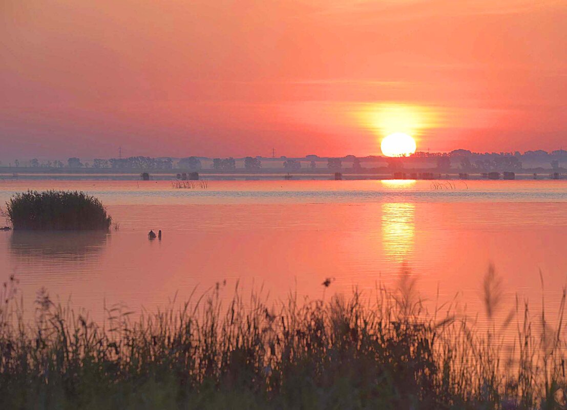 Новый день родился! - Михаил Белоусов