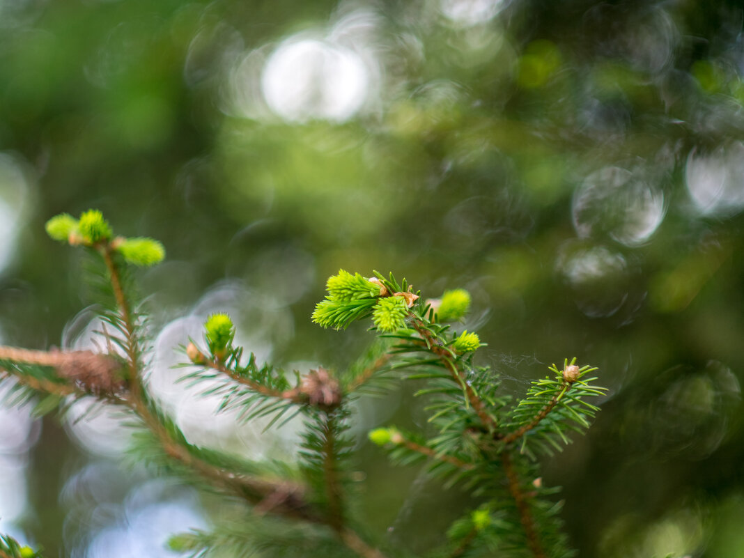 ___ - Yuriy V ___ - Yuriy V