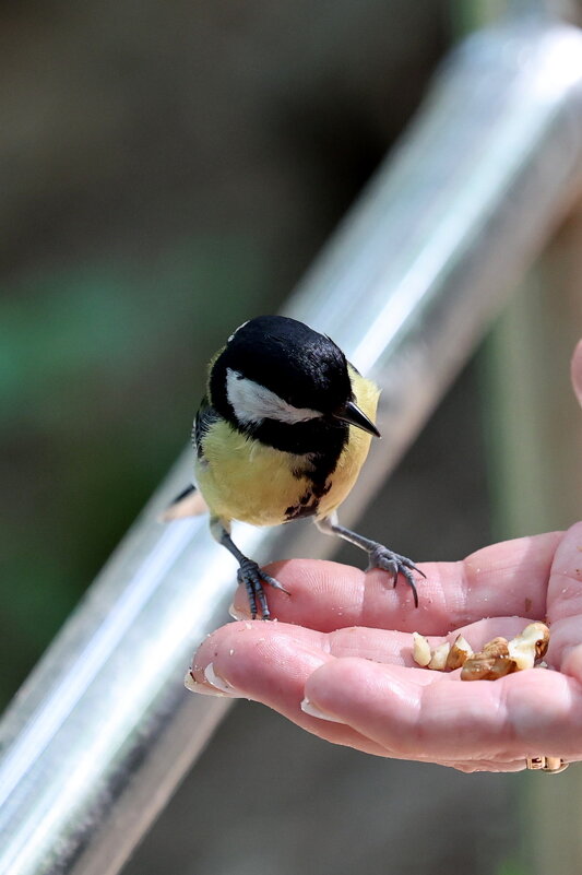 Что же выбрать? - Александр Кондаков Что же выбрать? - Александр Кондаков