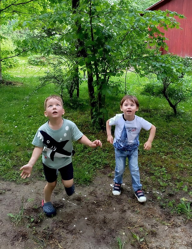 Шарик улетел! - Ольга Довженко