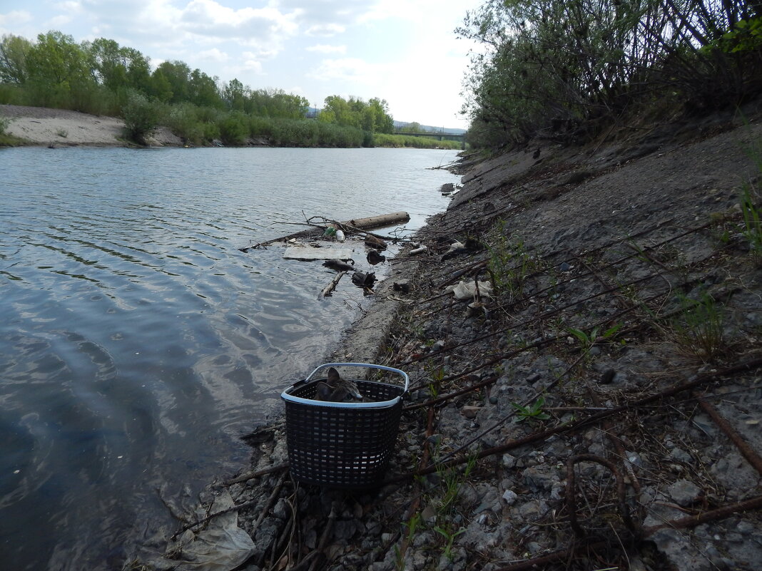 Набережная река Чита - Екатерина Панова Набережная река Чита - Екатерина Панова