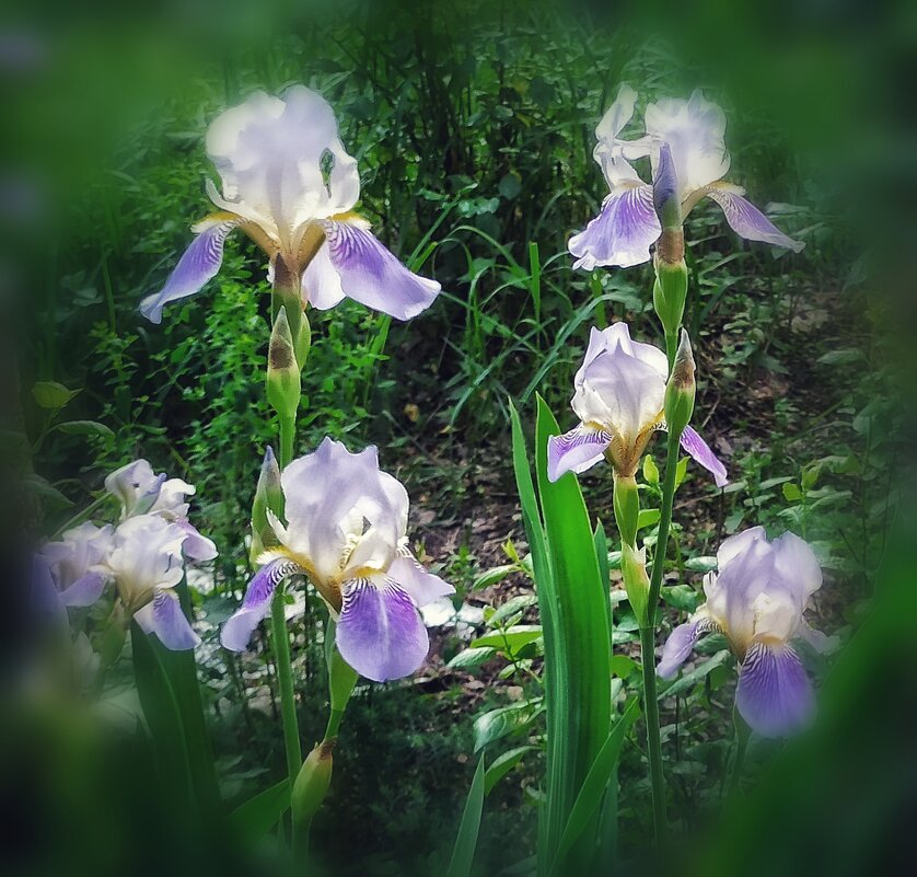 Это было вчера... - veilins veilins