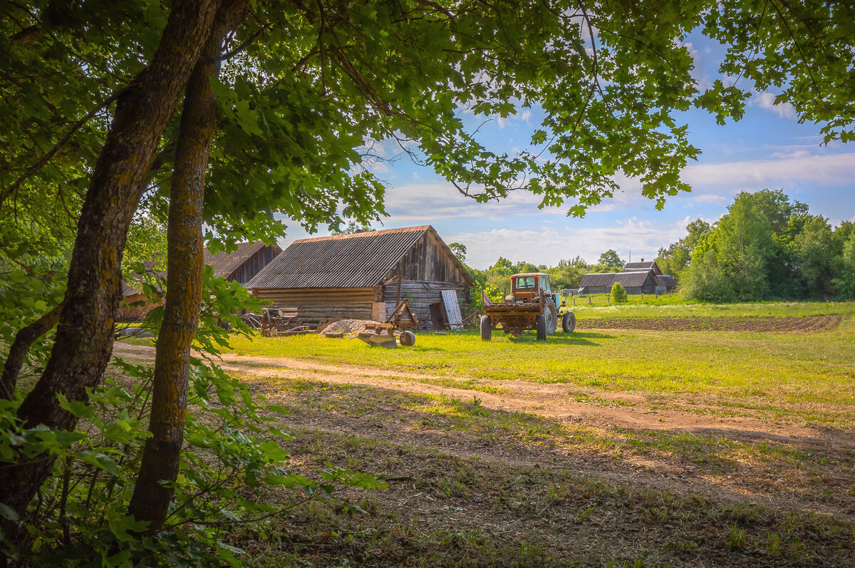 **** - Елизавета .